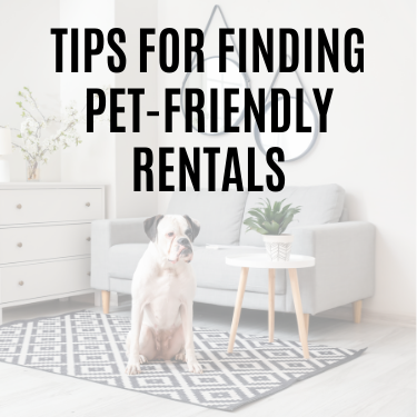 tips for finding pet friendly rentals